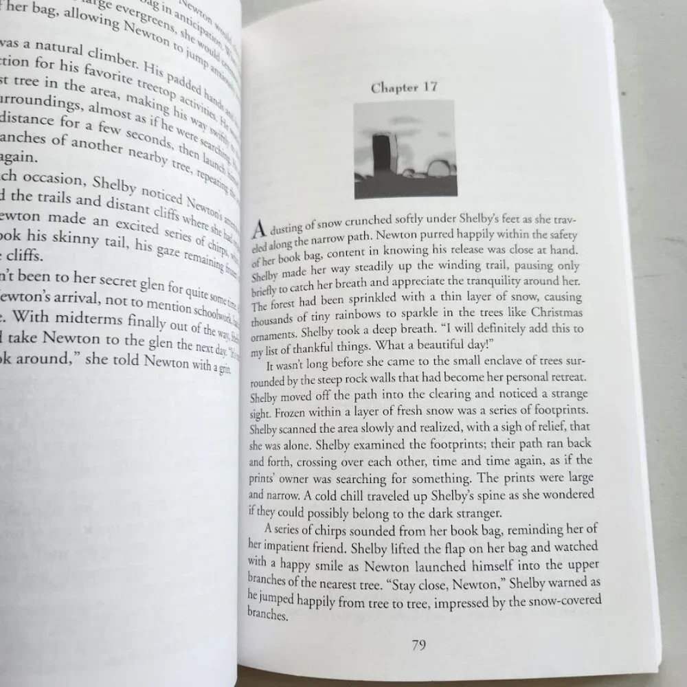 Shelby and the Shifting Rings By A.M. Veillon Book Fiction Chapter Young Adult
